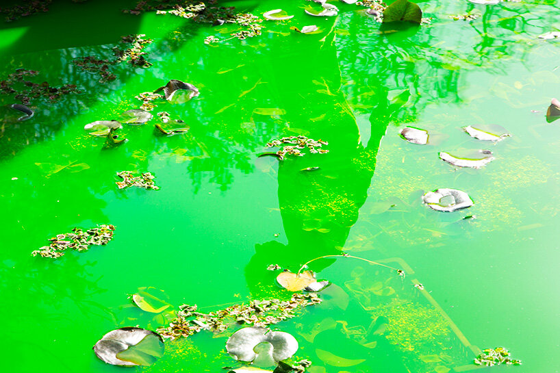 olafur eliasson floods fondation beyeler's interiors and exteriors with green water