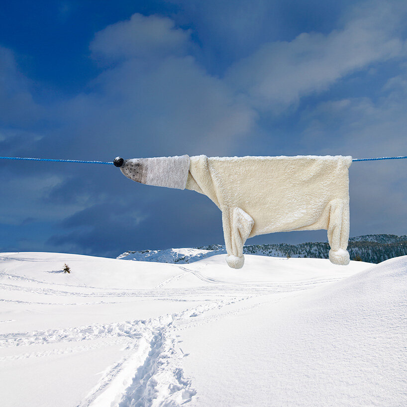 helga stentzel hangs a clothes polar bear to raise awareness on climate change