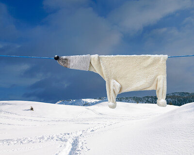 helga stentzel hangs a clothes polar bear to raise awareness on climate change