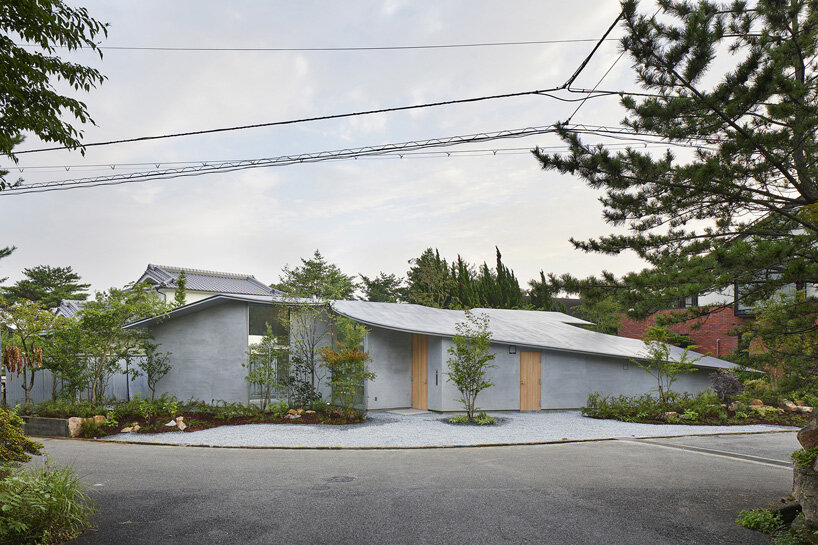 sculptural roof curves around growing trees in tomohiro hata house in okuike, japan