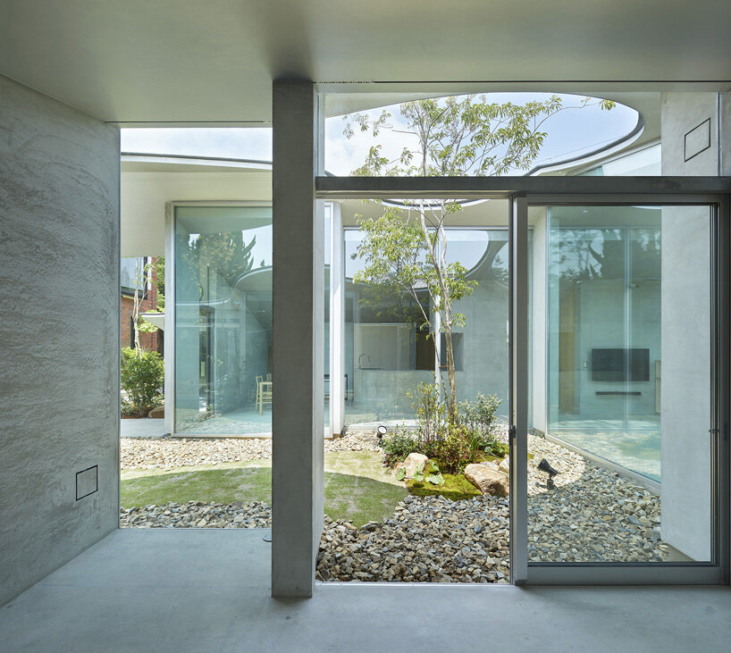 sculptural roof curves around growing trees in tomohiro hata house in okuike, japan