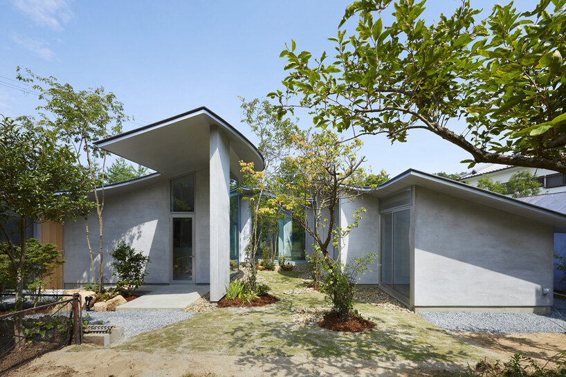 sculptural roof curves around growing trees in tomohiro hata house in okuike, japan