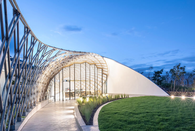 steyn studio south africa