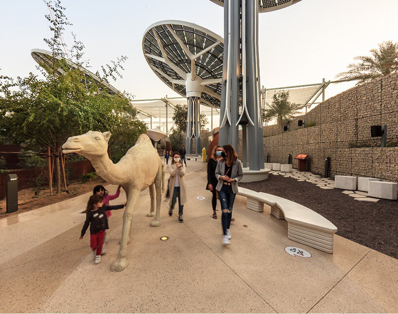 first look: 'terra' – the sustainability pavilion at expo 2020 dubai