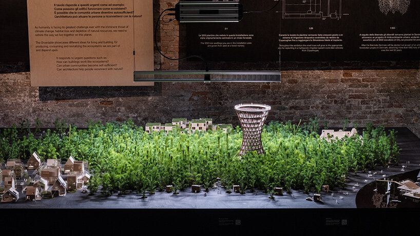 EFFEKT miniature forest venice