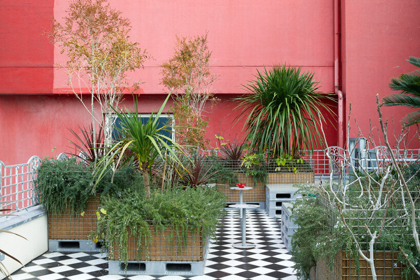 jungle terrace tops schemata architects' FREITAG store in jeju, south korea