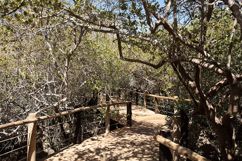 hopkins architects wildlife sanctuary