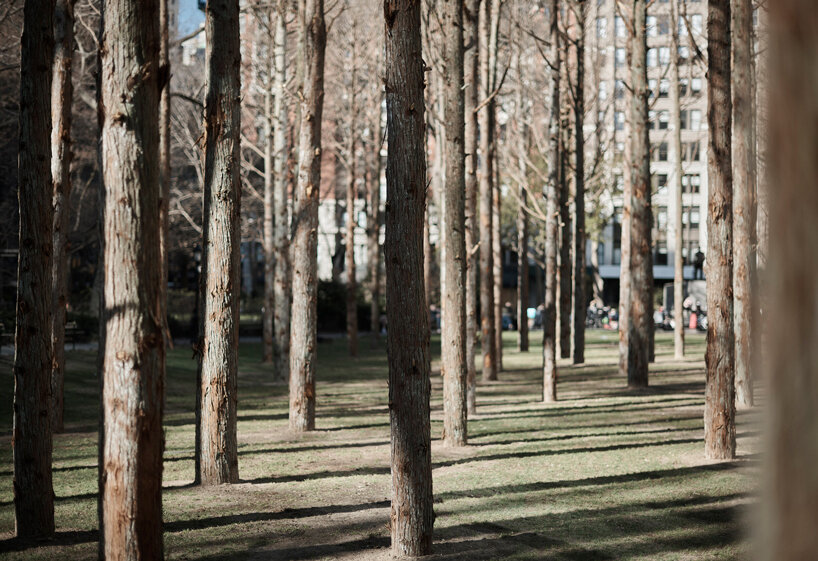 maya lin ghost forest new york designboom