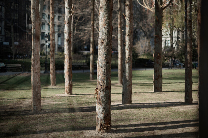 maya lin ghost forest new york designboom