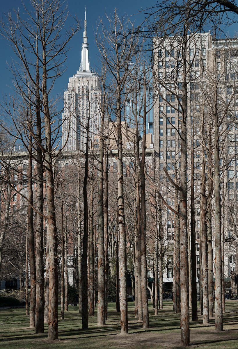 maya lin ghost forest new york designboom