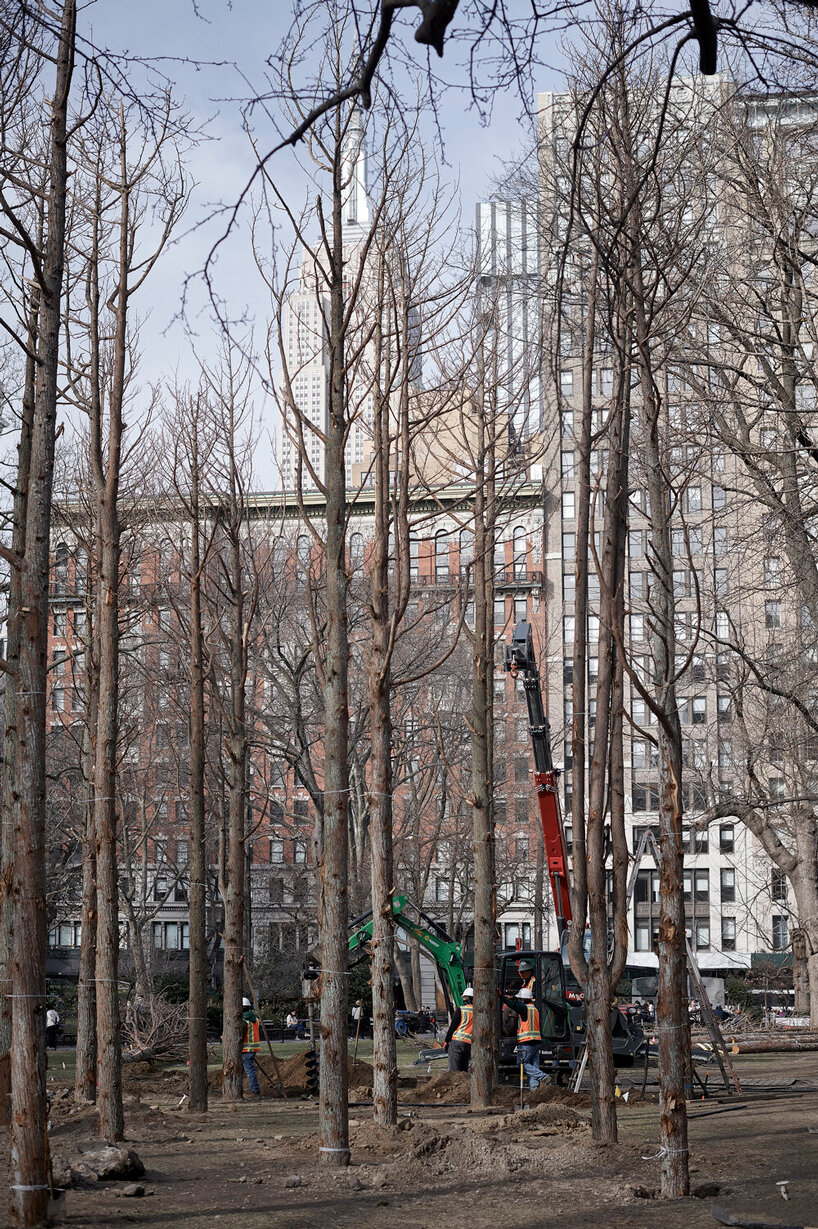 maya lin ghost forest new york designboom