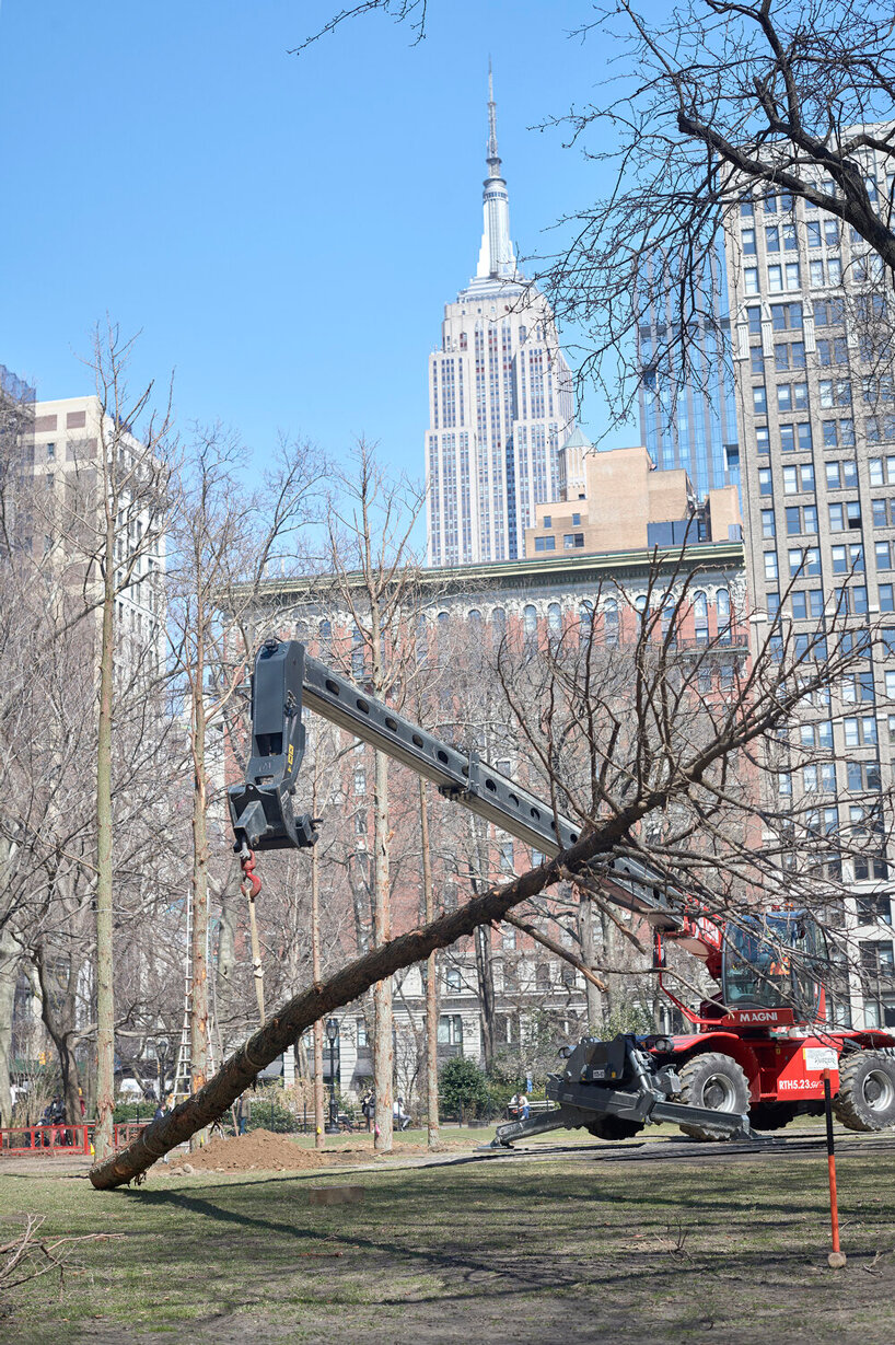 maya lin ghost forest new york designboom