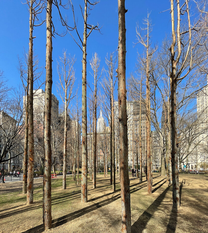 maya lin ghost forest new york designboom