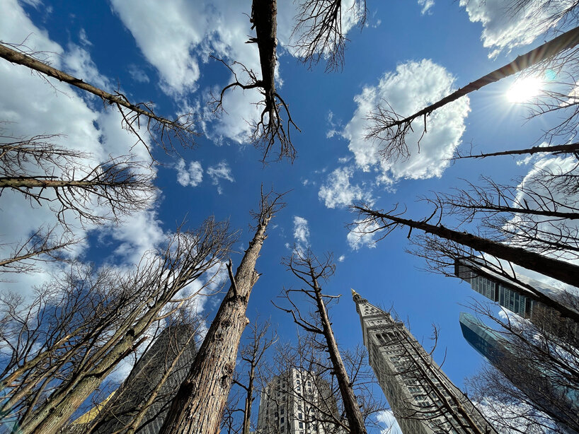 maya lin ghost forest new york designboom
