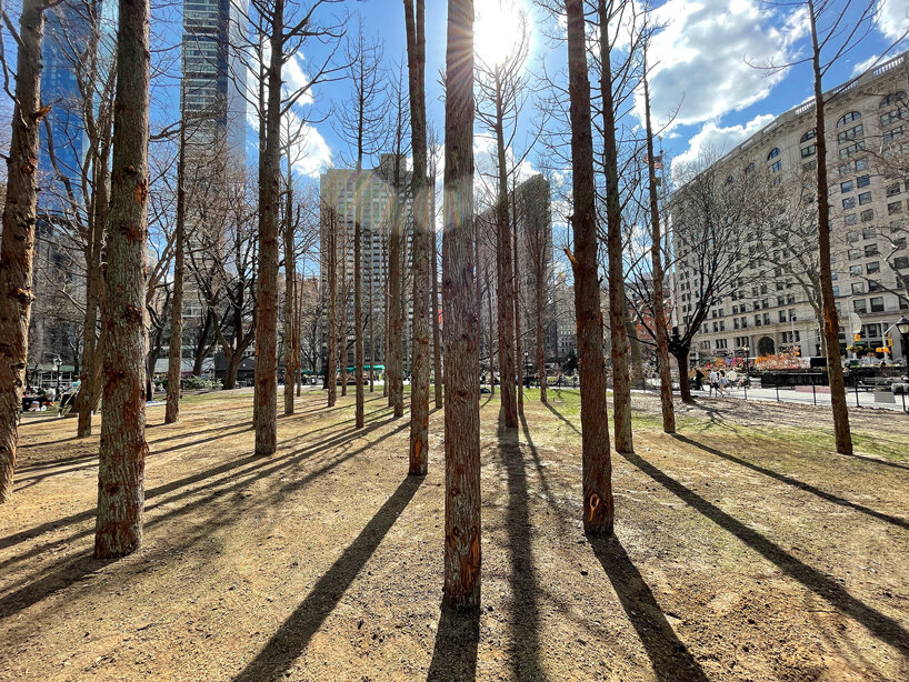 maya lin ghost forest new york designboom
