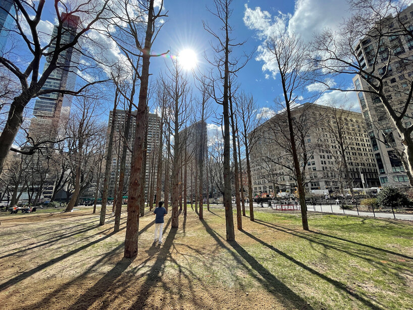 maya lin ghost forest new york designboom