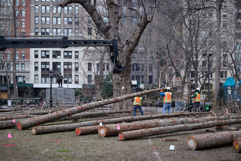 maya lin ghost forest new york designboom