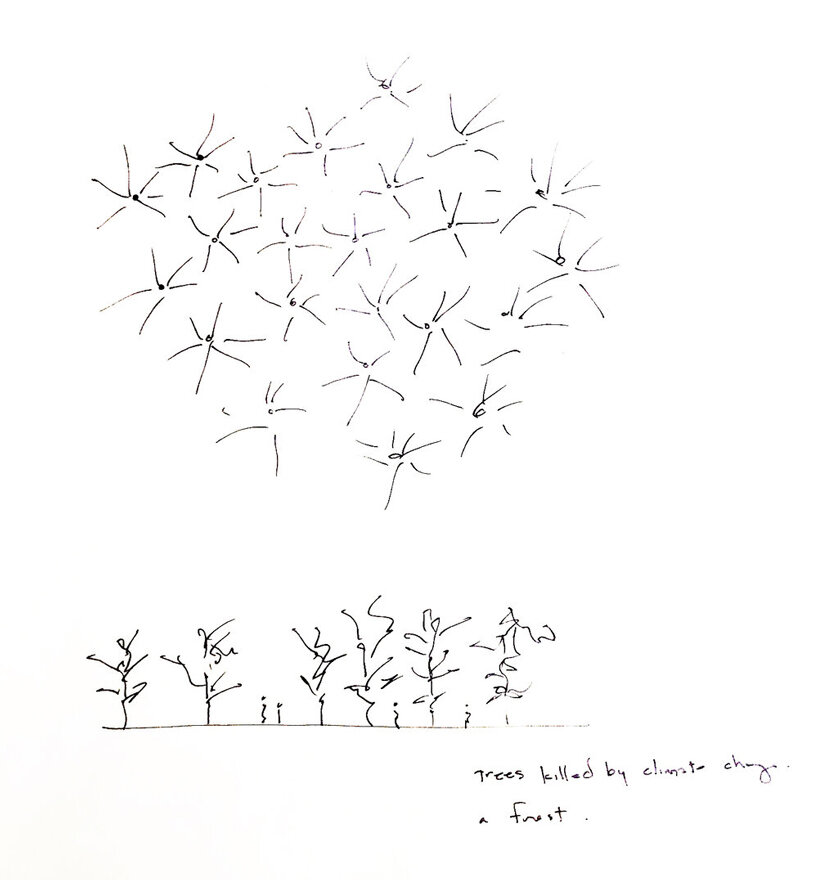 maya lin ghost forest new york designboom