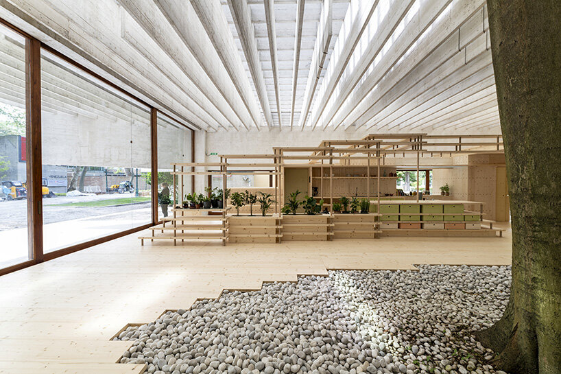 helen hard nordic pavilion venice