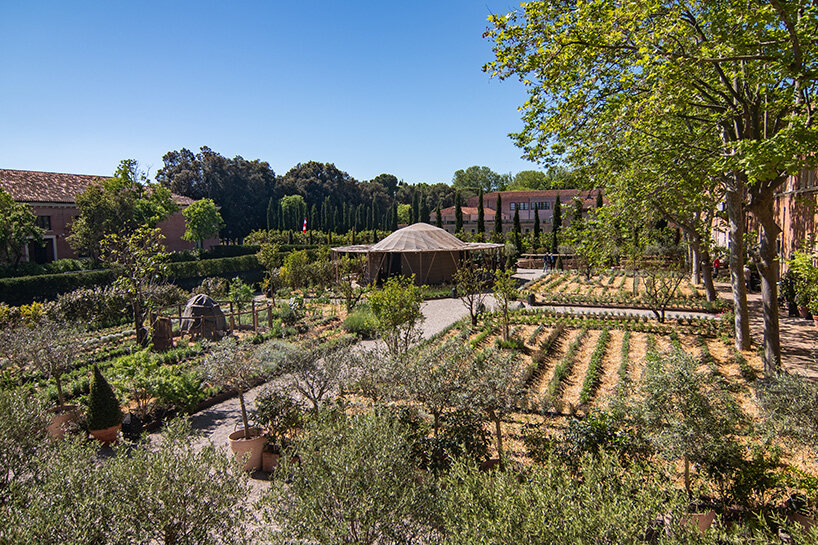 simón vélez stefana simic majlis