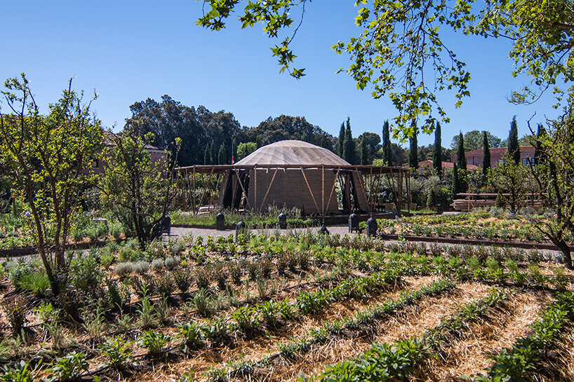 simón vélez stefana simic majlis