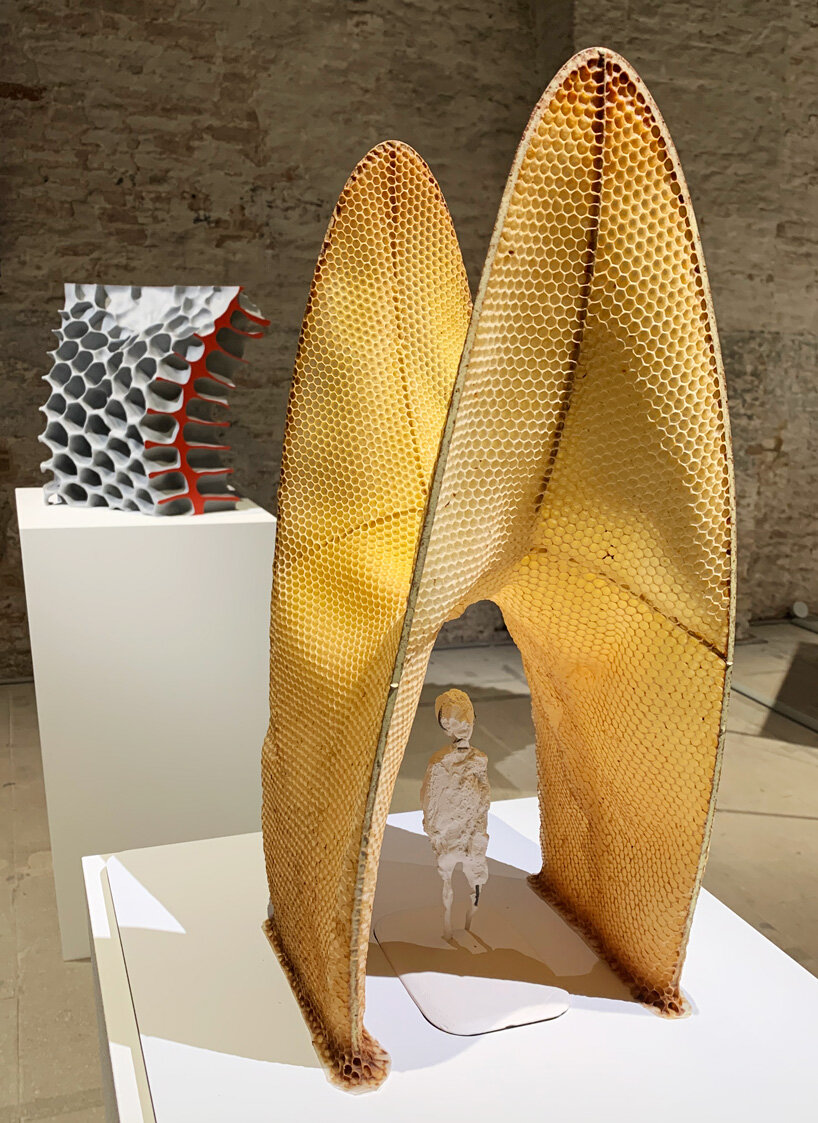 tomáš libertíny exhibits architecture sculpted by bees at the venice biennale