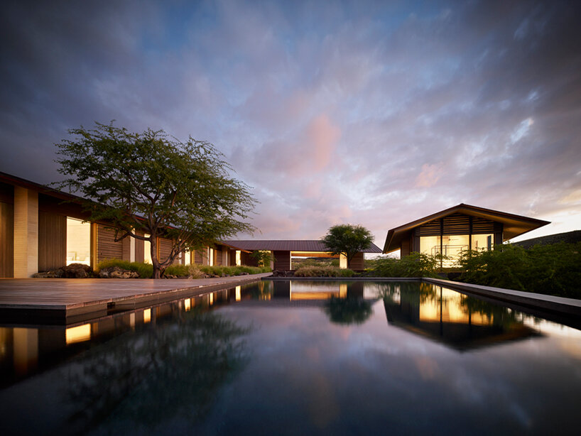 hale mauu walker warner