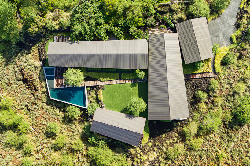 hale mauu walker warner