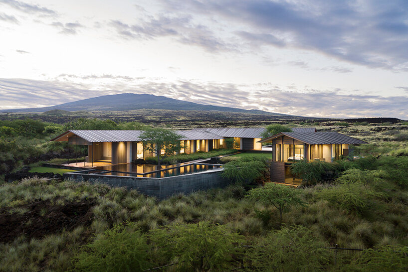 hale mauu walker warner