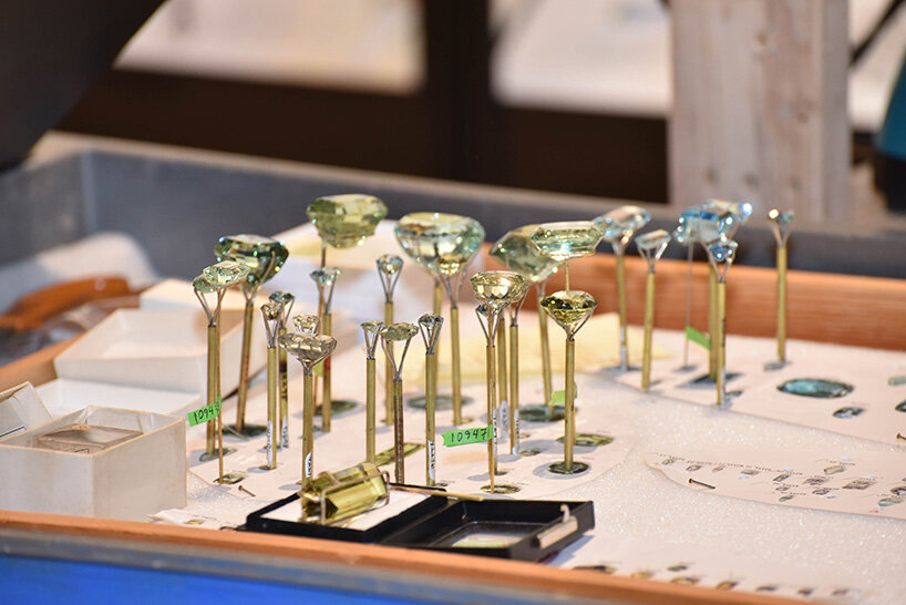 american museum of natural history