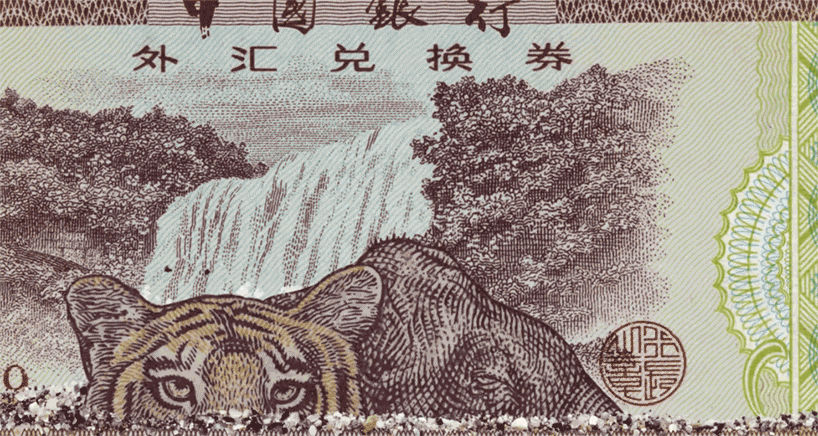 foreign exchange corrie park