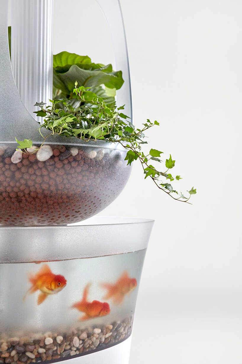 'eva' indoor aquaponics furniture grows fresh vegetables from fish waste