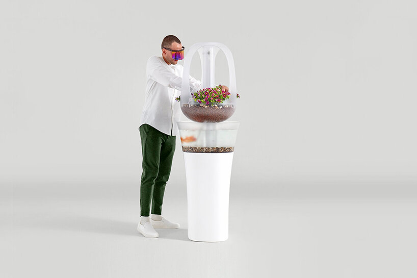 'eva' indoor aquaponics furniture grows fresh vegetables from fish waste