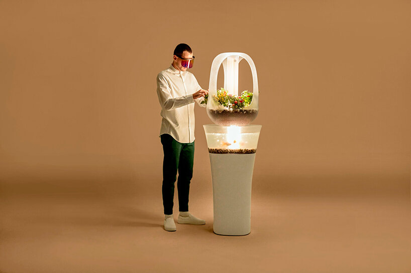 'eva' indoor aquaponics furniture grows fresh vegetables from fish waste