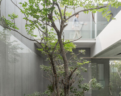 four miniature courtyards bring nature inside this secluded family house in thailand