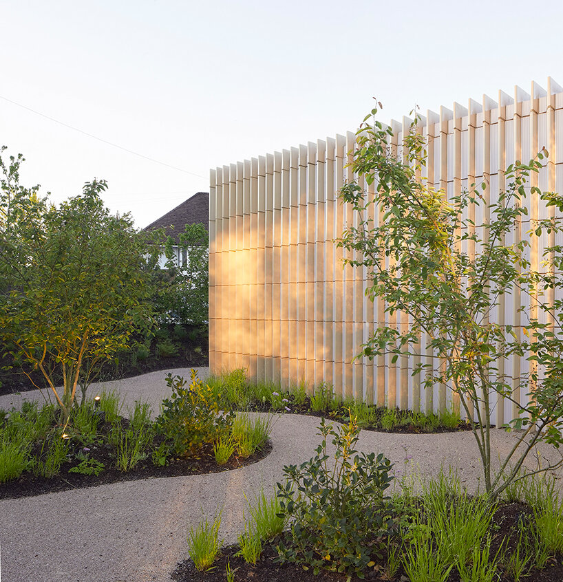 amanda levete maggies southampton