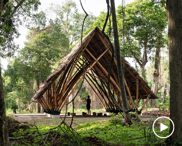 bamboo community hall for indigenous peoples in argentina is like a door to the jungle