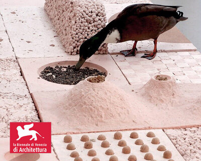 studio ossidiana's biennale installations spatialize coexistence of humans + birds