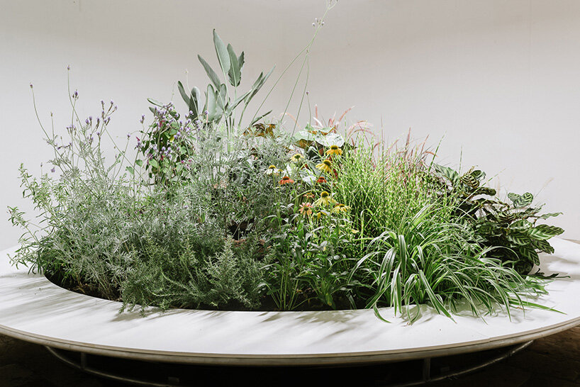 erez nevi pana installs flora fauna, a plant-based choreographed circus 