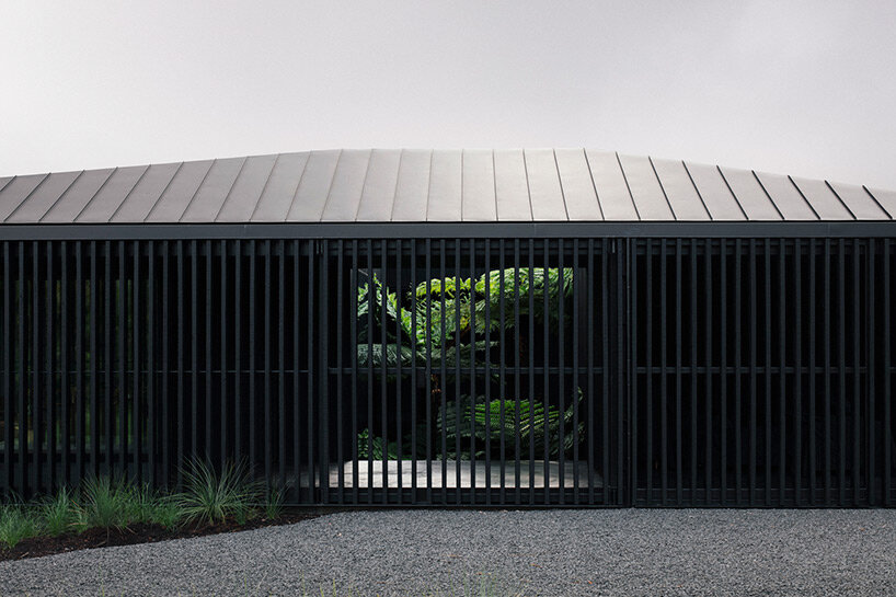 edition office anchors black concrete residence with strategic apertures to australian hilltop