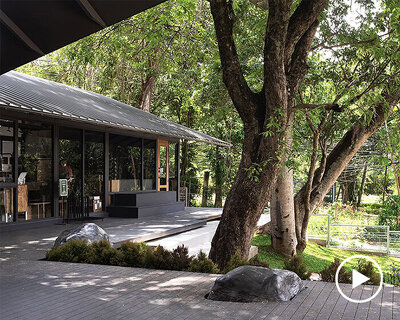 this nature lovers café is built around a 100-year-old tree in thailand