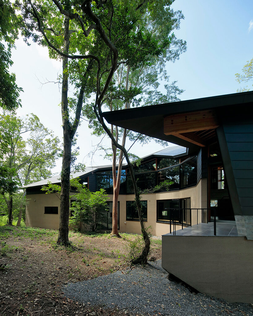 irregular-angled 'phase dance' residence by takeshi hirobe wraps around a large tree in japan