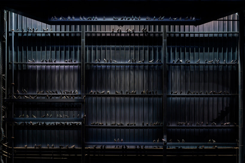 maurizio cattelan unveils 9/11 memorial in 'breath ghosts blind' show at pirelli hangarbicocca