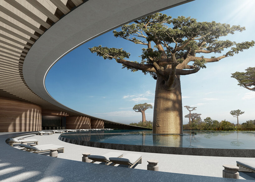 SAOTA's 'la reserve' hotel resort winds around baobab trees in dakar designboom