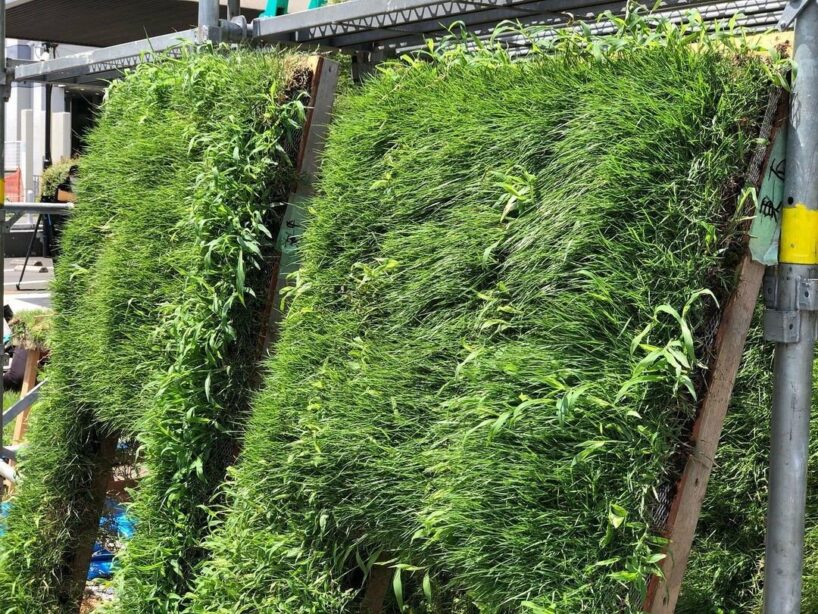 terunobu fujimori's grass-covered tea room pavilion pops up in tokyo designboom