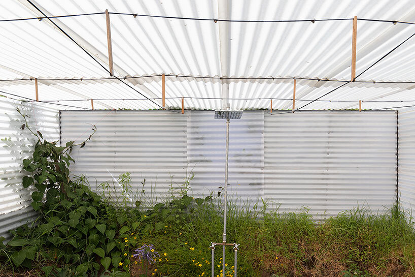 al borde builds a ‘garden house’ in ecuador with live trees and rammed earth