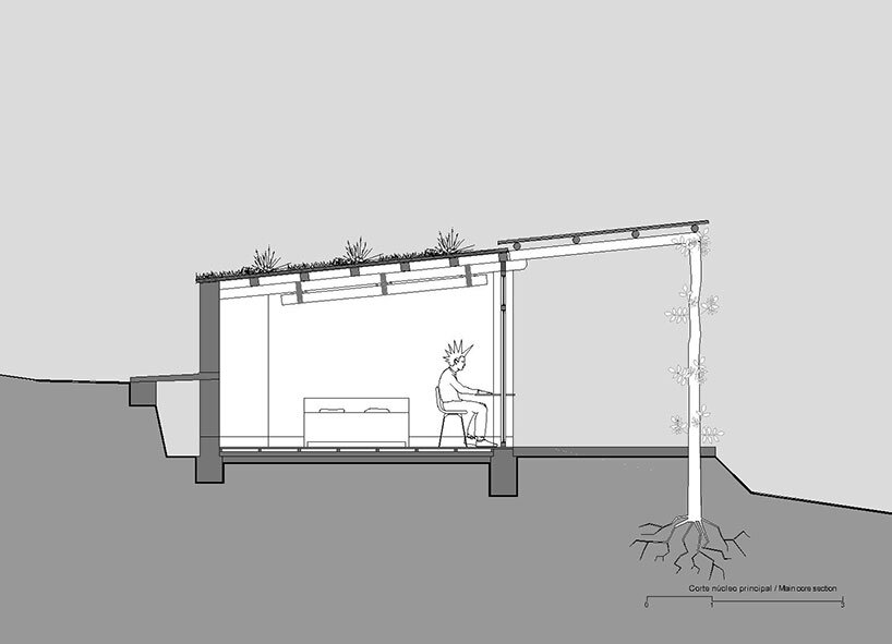 al borde builds a ‘garden house’ in ecuador with live trees and rammed earth