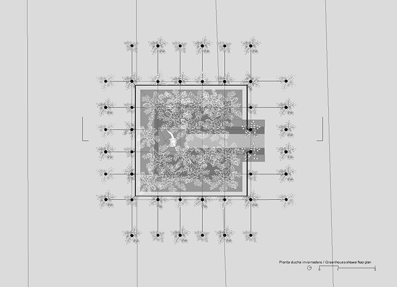 al borde builds a ‘garden house’ in ecuador with live trees and rammed earth