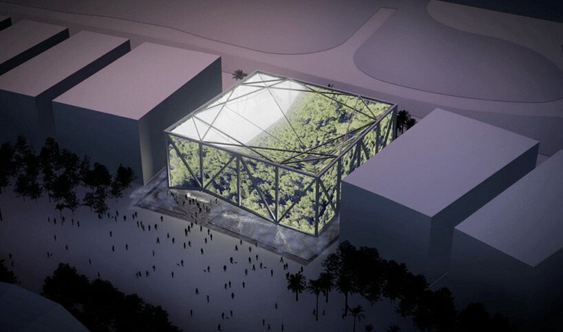 immerse yourself in brazil's lush rainforests through cactus 360° installation at world expo dubai