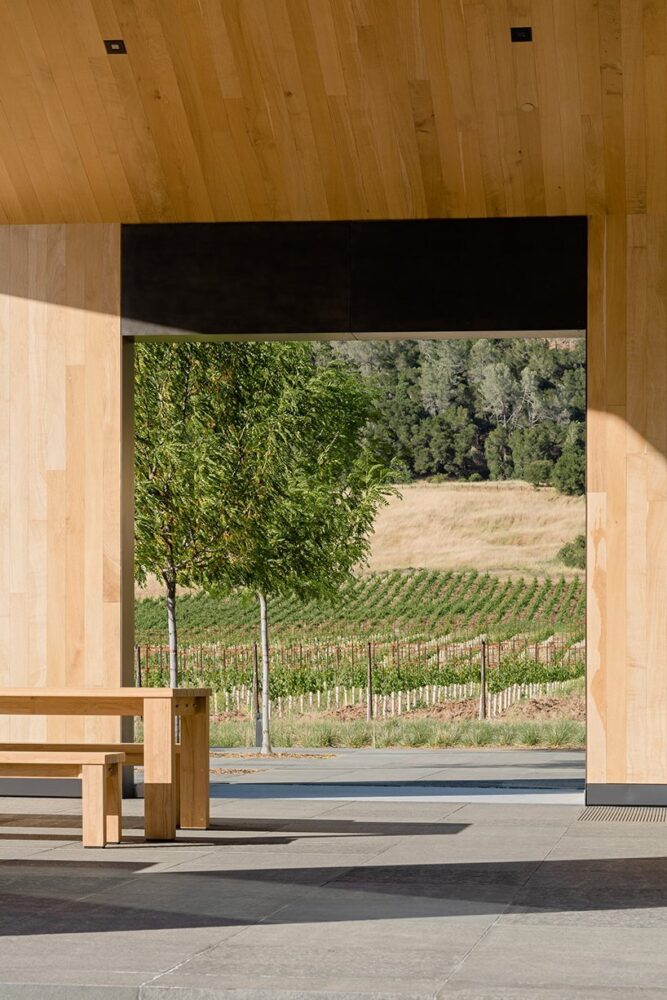 framing the vineyards
